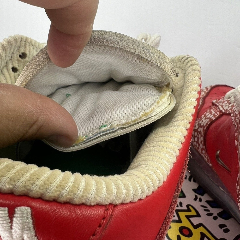 Nike SB Dunk Low Stingwater Magic Mushroom Men’s Size 8 DH7650-600 OG Retro Red - Picture 15 of 16
